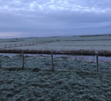 Vergezichten vanuit BnB Saari - De Woude