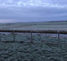 Vergezichten vanuit BnB Saari - De Woude