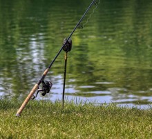 Vissen - Fishing - Angeln