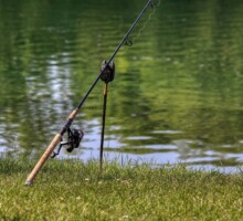 Vissen - Fishing - Angeln