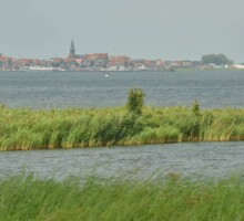 Omgeving met veel water