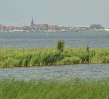 Omgeving met veel water
