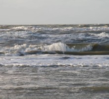 Zee - Zandvoort